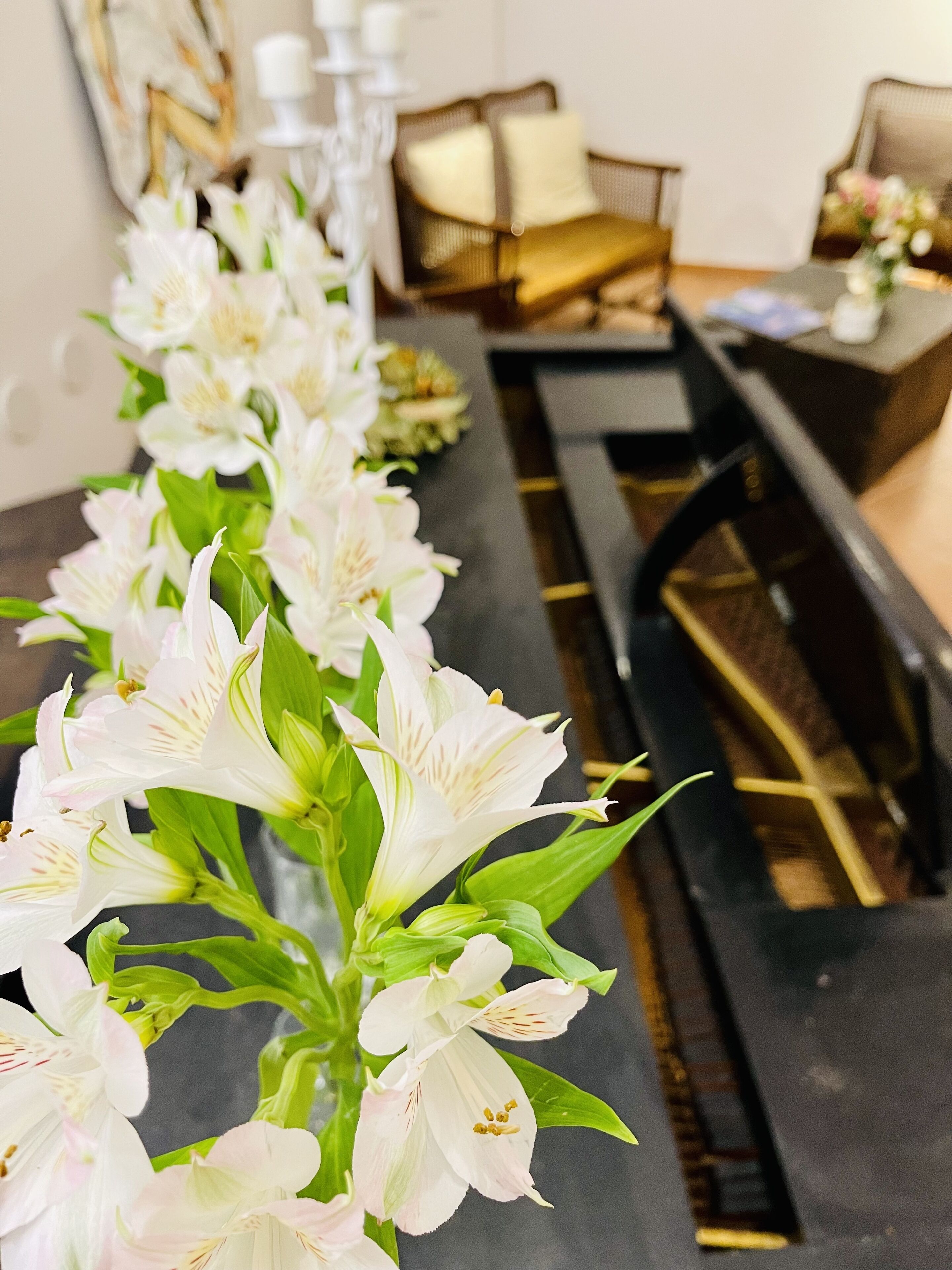 A row of white flowers in a room with a black piano and a sofa.