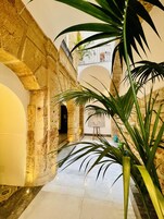 A spacious interior with stone walls, a marble floor, and a large potted plant.