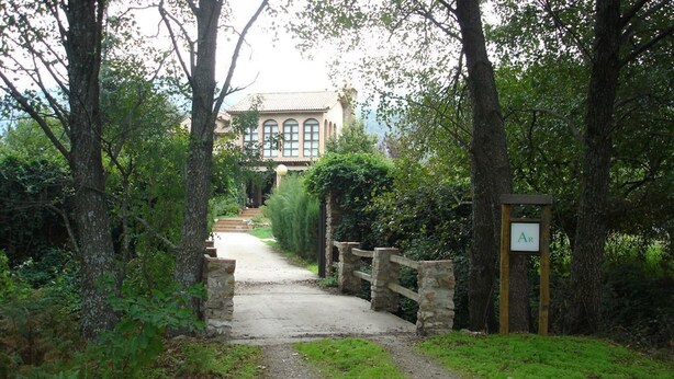 Un chemin menant à un bâtiment entouré d’arbres.