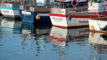 A harbor with several boats docked.