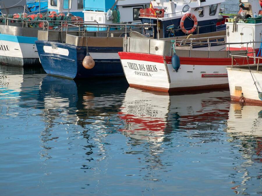 A harbor with several boats docked.