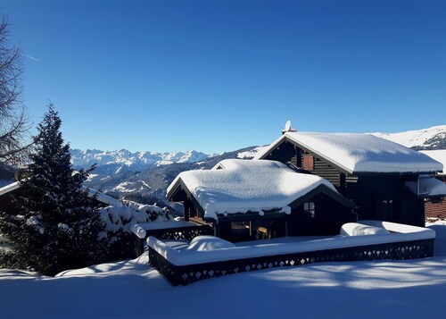 Les Eterlous - Very beautiful Chalet 200m from the slopes of La Plagne - 12-15 pers.