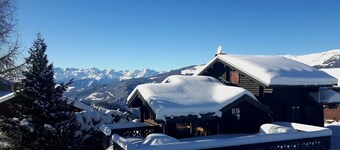 Les Eterlous - Sehr schönes Chalet 200m von den Pisten von La Plagne - 12-15 Pers.