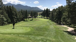 Ein Golfplatz mit freiem Blick auf Grünflächen, Spielbahnen und die umliegenden Bäume.