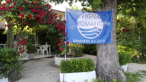A banner with the text "TREVIGNANO ROMANO BANDIERA BLU 2018" attached to a tree. - Smeraldo Camping Village (Bracciano)