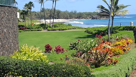 Unterkunftsgelände. Bayview, Poipu, Koloa Hawaii "Torview"