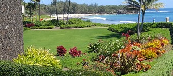Bayview, Poipu, Koloa Hawaii "Torview" Air conditioned