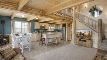 电视、壁炉、DVD 播放器