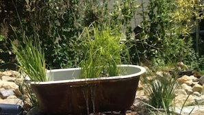Iemand drijft op een opblaasbaar ringetje in een klein, helder zwembad, omringd door rotsen en planten.