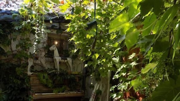 Een gezellige binnentuin met een zithoek met kussens, een kleine tafel en diverse planten.