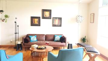 Smart TV, fireplace, books