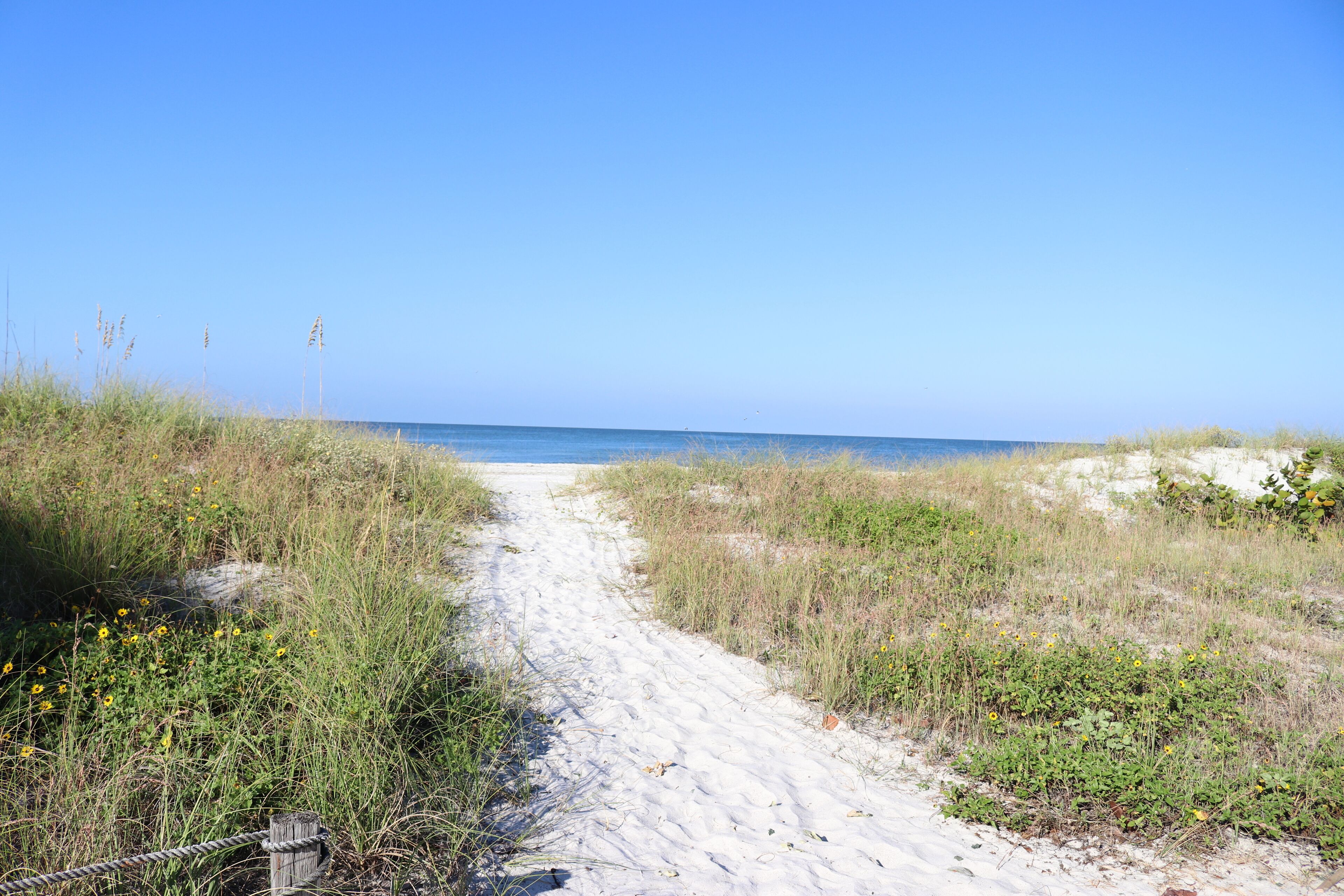 Am Strand, Liegestühle