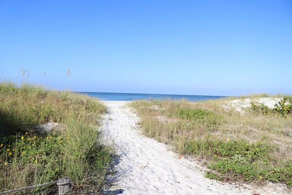 On the beach, sun-loungers