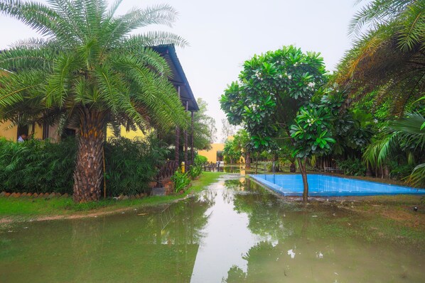 Lake - V Resorts Chambal Paradise Resort (Agra)