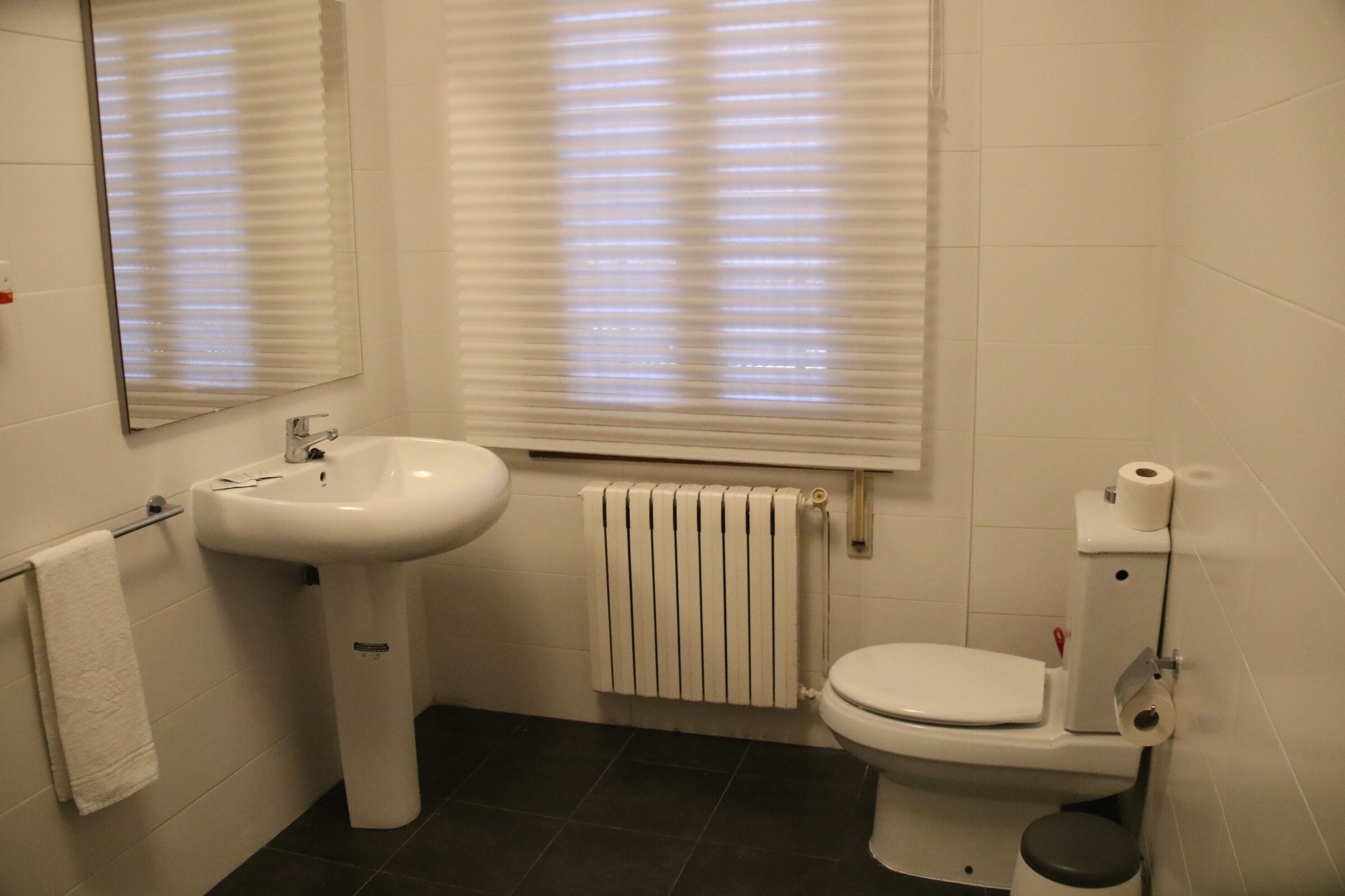 Une salle de bain avec un lavabo, des toilettes et un radiateur, le tout de couleur blanche.
