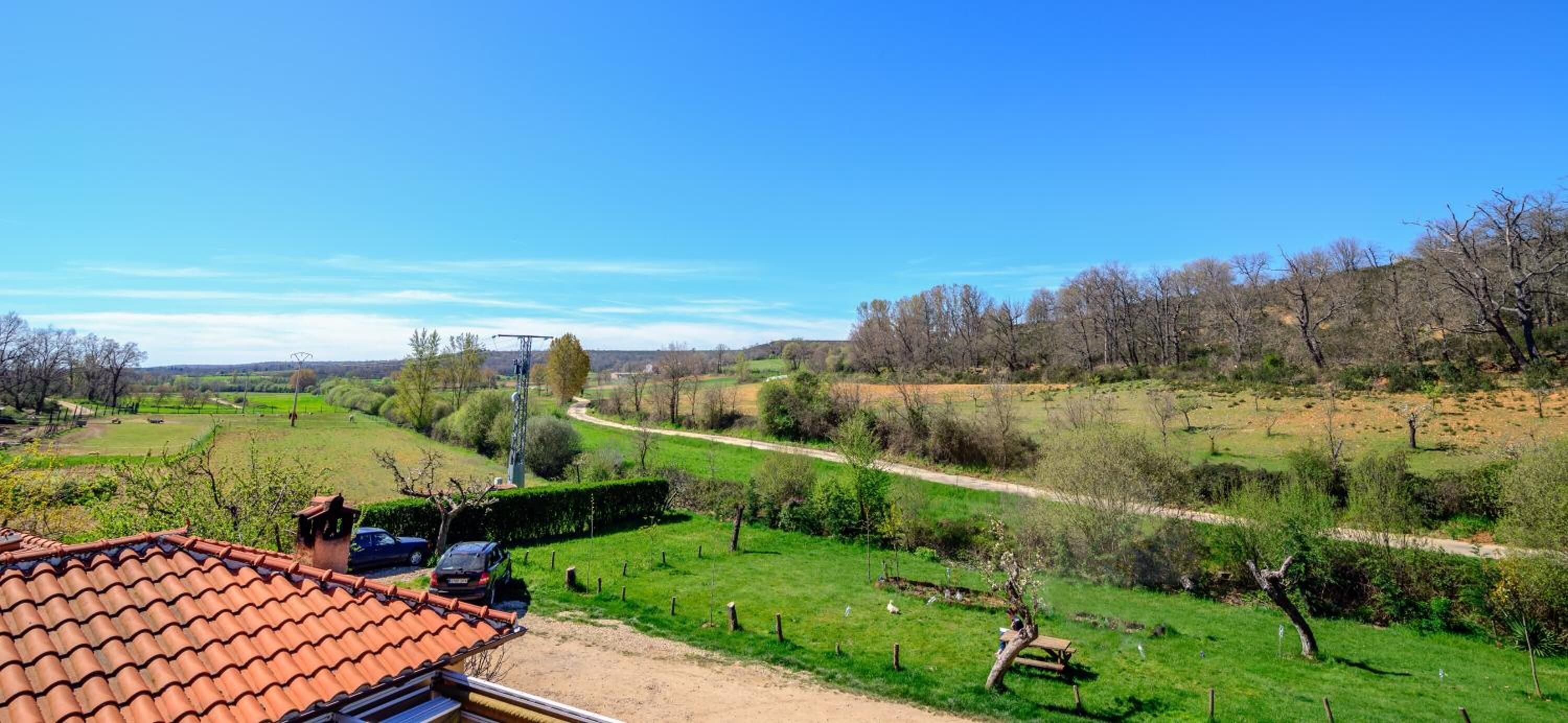 Paisaje rural con cielo despejado, un sendero de tierra y algunos árboles.