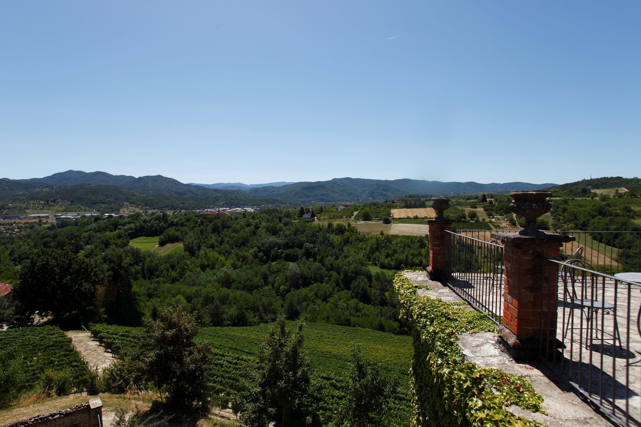 A vineyard with terraced fields and a distant mountain range.