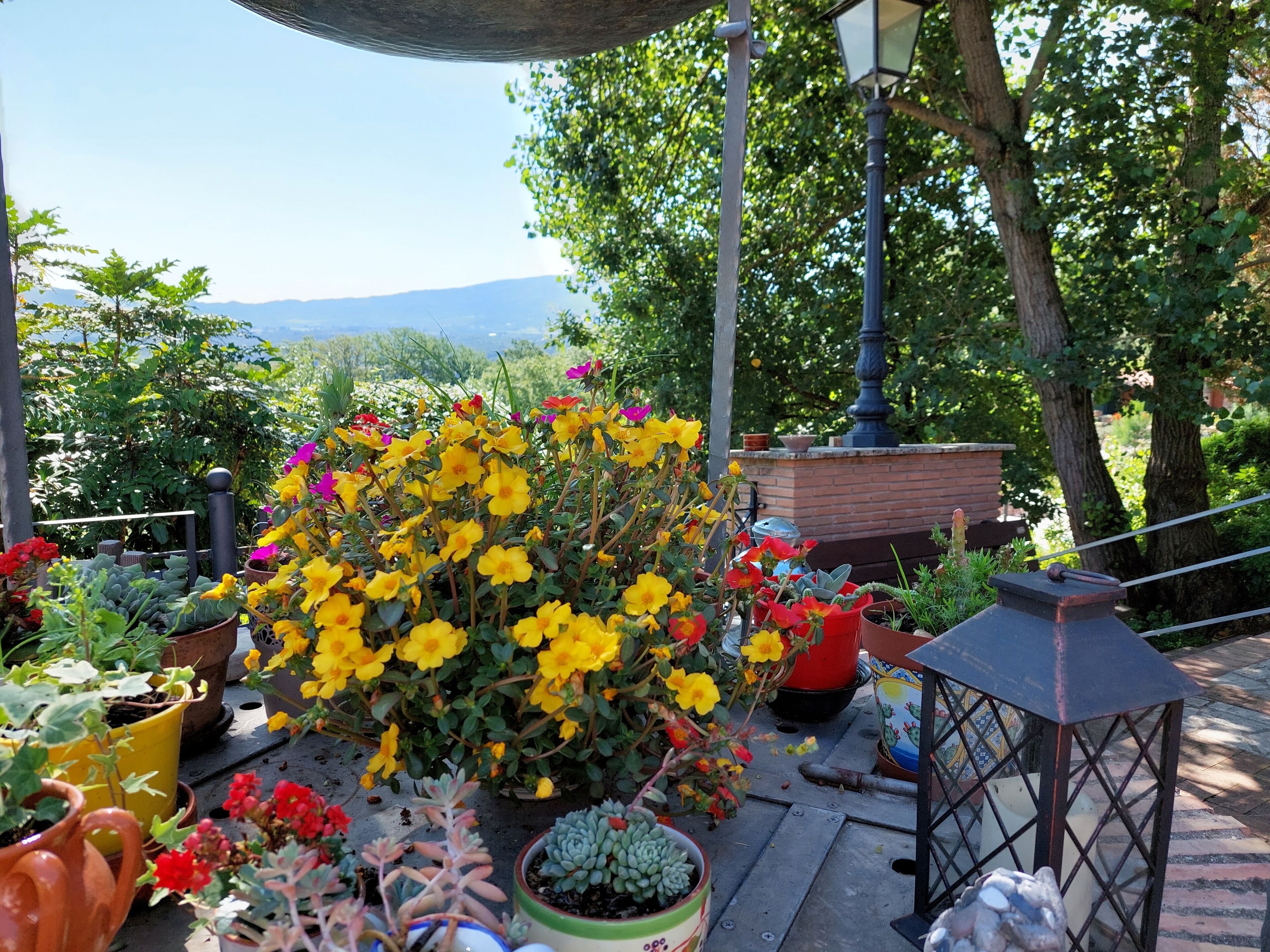 Un jardin agrémenté de diverses plantes et fleurs en pot, une structure en briques et un lampadaire en métal.