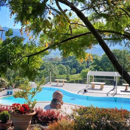 Una piscina al aire libre, sombrillas, sillones reclinables de piscina