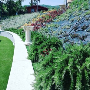 Garden - Country House Bosco d'Olmi (Sant'Andrea del Garigliano)
