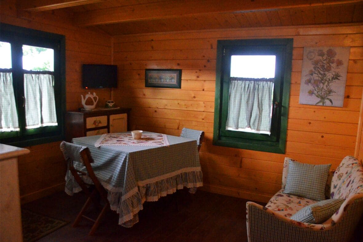 A cozy cabin interior with a wooden interior, a dining table with a checkered tablecloth, a wicker chair, and a television on the wall.