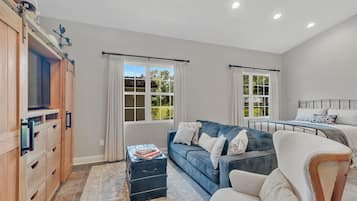 TV, DVD player, books, video library