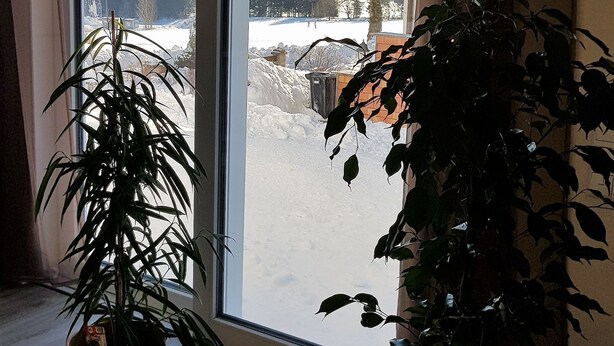 A room with a large sliding glass door leading to a snowy outdoor area. There are two potted plants on the floor. - Ferienhaus Victoria (Ilmenau)