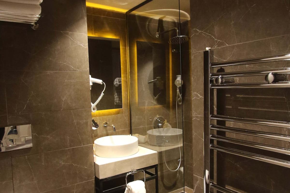 standard room | bathroom | shower, hydromassage showerhead, eco-friendly toiletries, hair dryer