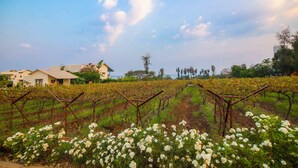 Exterior - Soma Vine Village (Nashik)