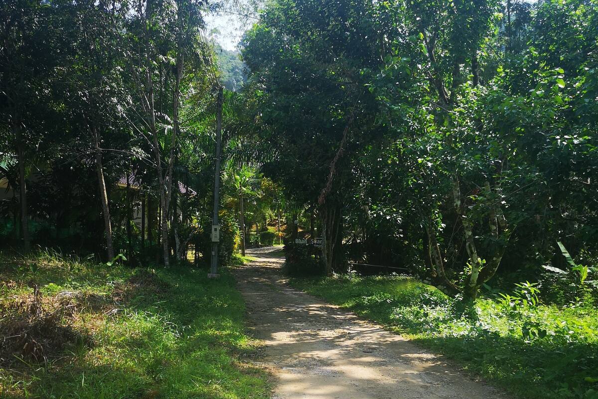 Standard Bungalow | Park view