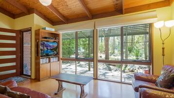 Televisión, chimenea, reproductor de DVD, libros