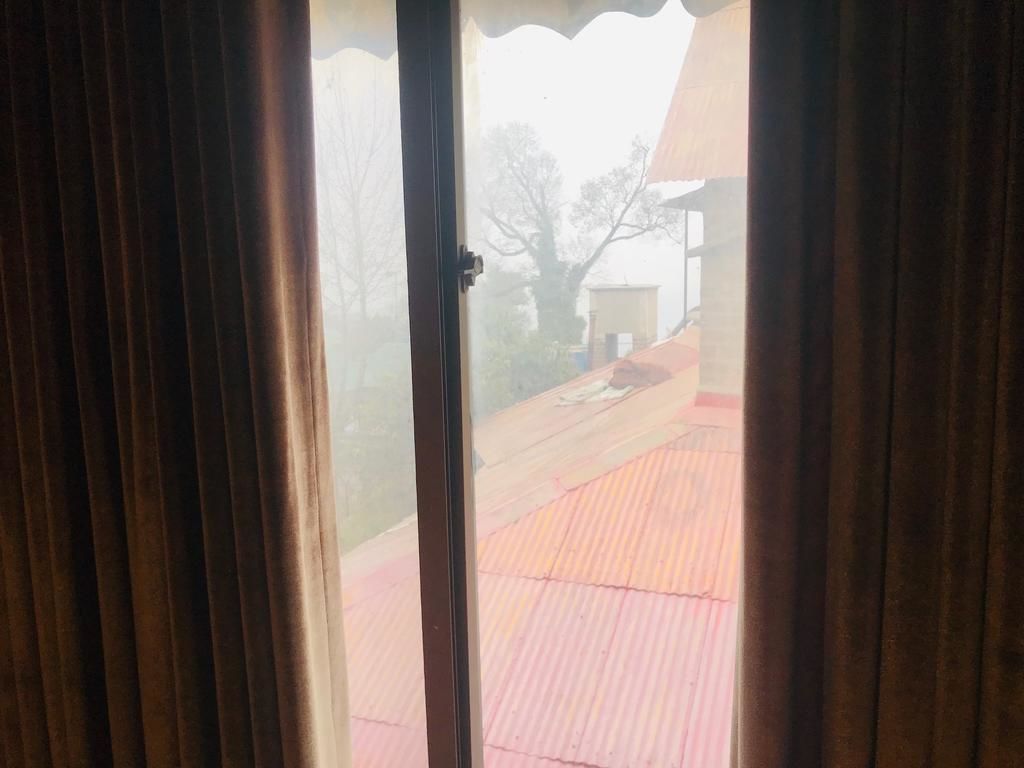 Blick durch ein Fenster mit Vorhang, der ein rotes Dach und einen Baum im Freien zeigt.