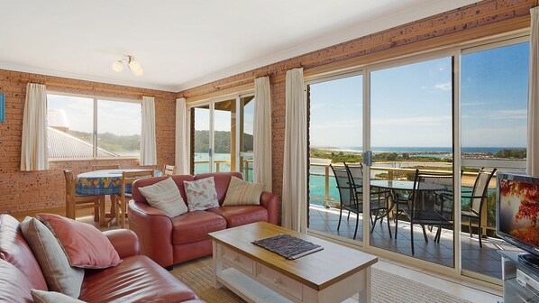 TV, DVD player, books