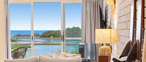 TV, DVD player, books