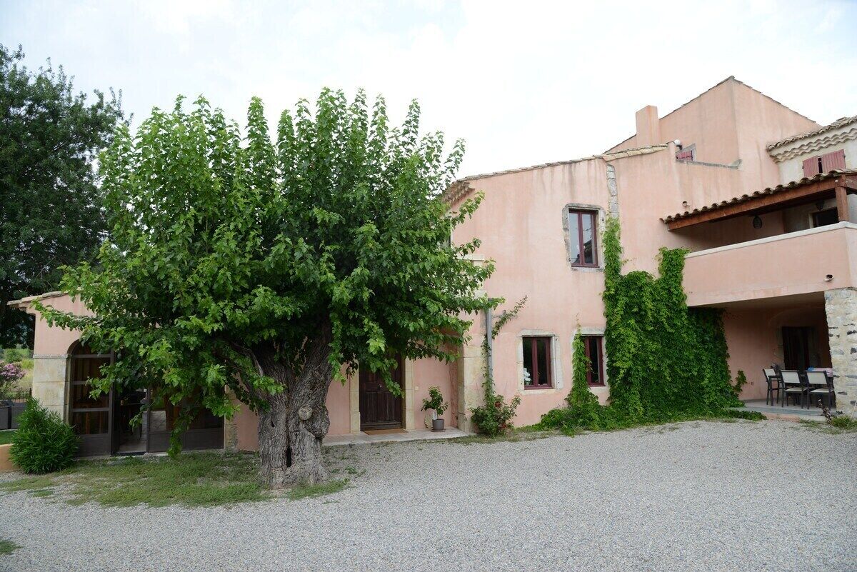 Family Apartment (Ruche) | Garden