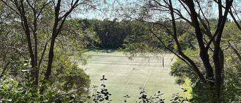 Ein von Bäumen umgebener Tennisplatz.