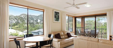 TV, DVD player, books