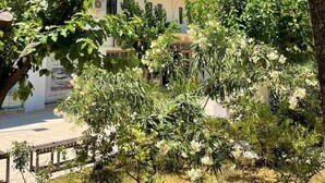 A multi-story building with balconies, surrounded by greenery and trees. - Apollon Hotel - Adults Only (Agios Nikolaos)