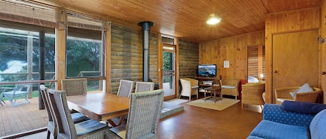 TV, fireplace, DVD player, books