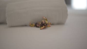 A white pillow on a bed with a small, wrapped object on it.