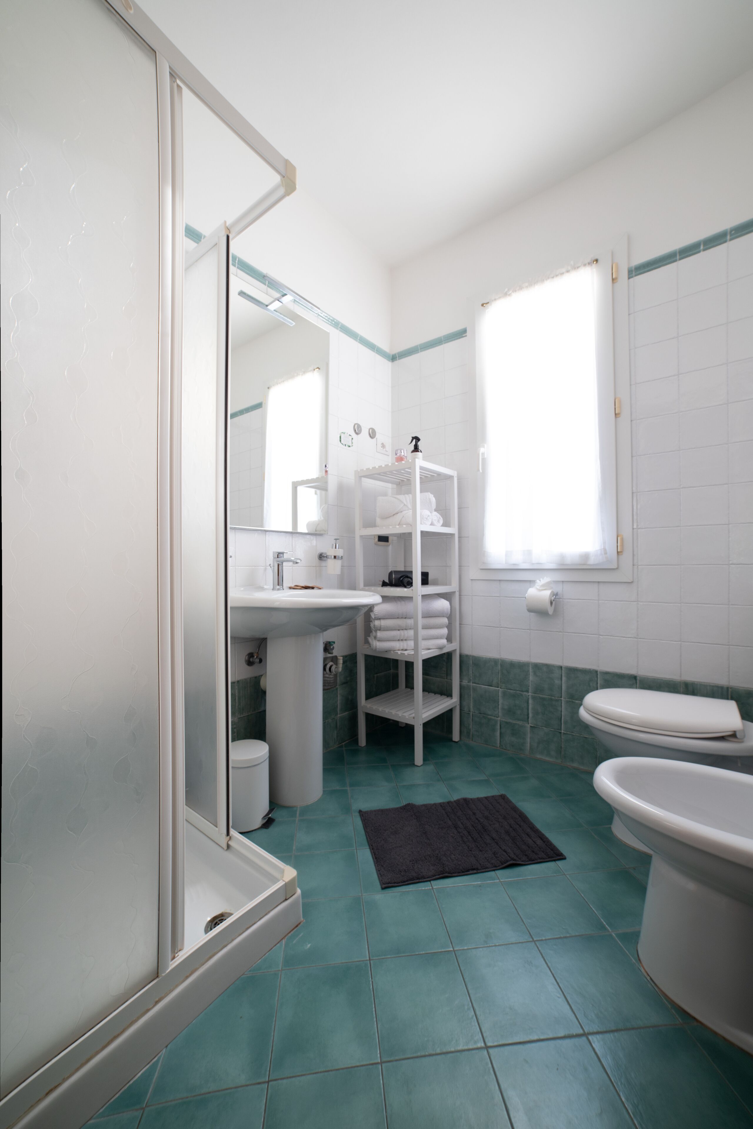 shower, hair dryer, bidet, towels