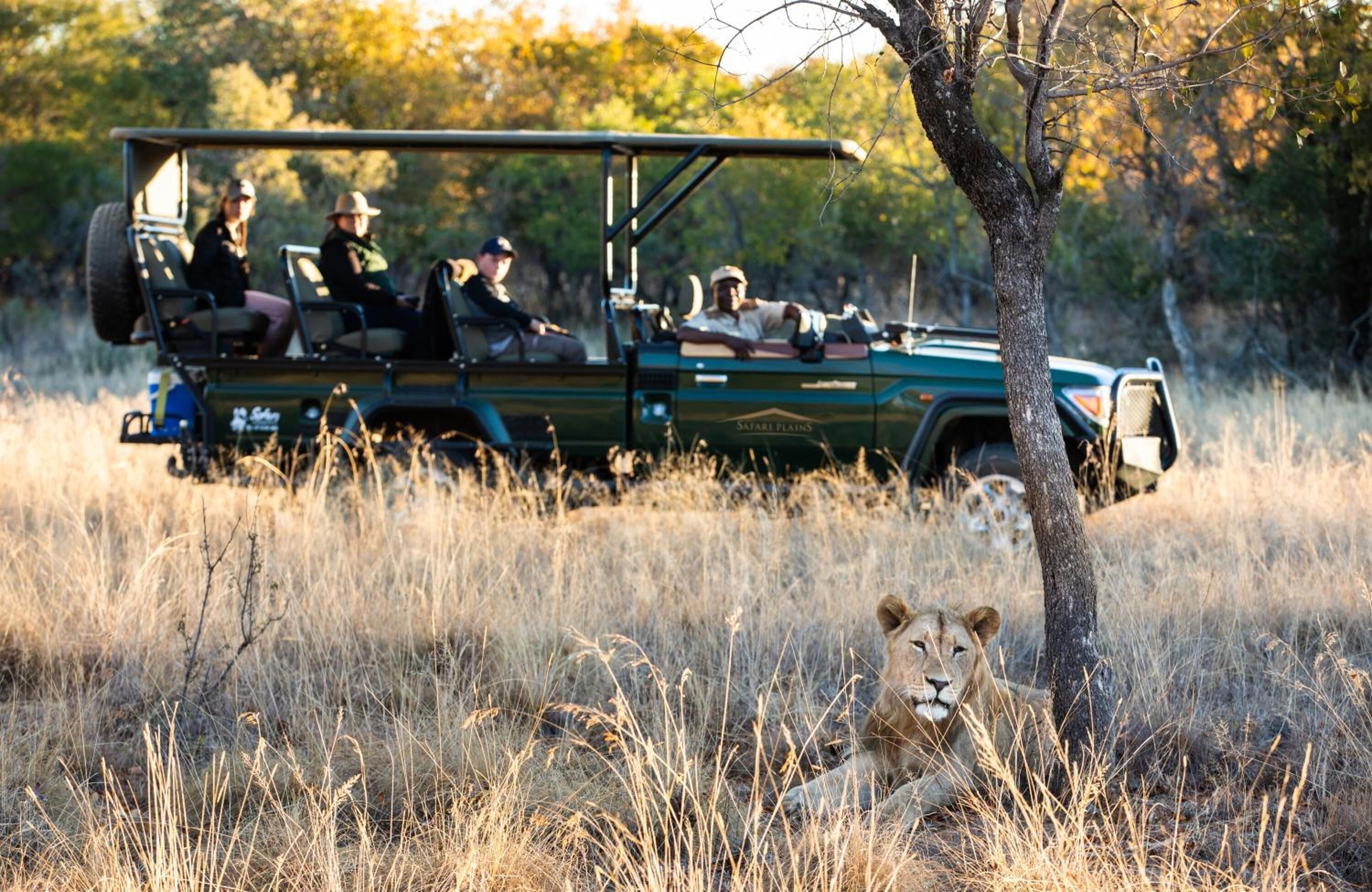 A safari vehicle with passengers and a lion in the foreground.