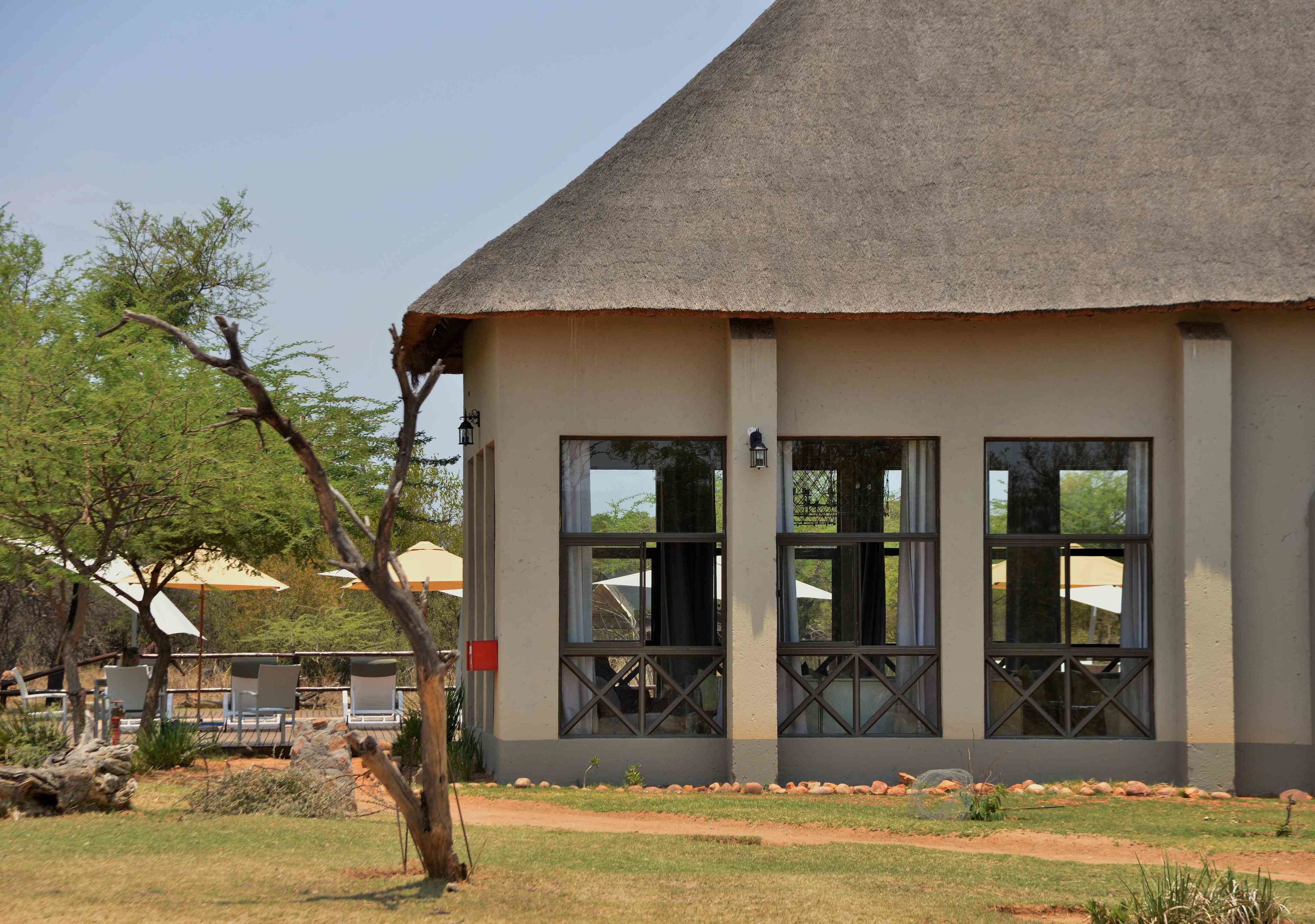 A building with a thatched roof, large windows, and outdoor seating.