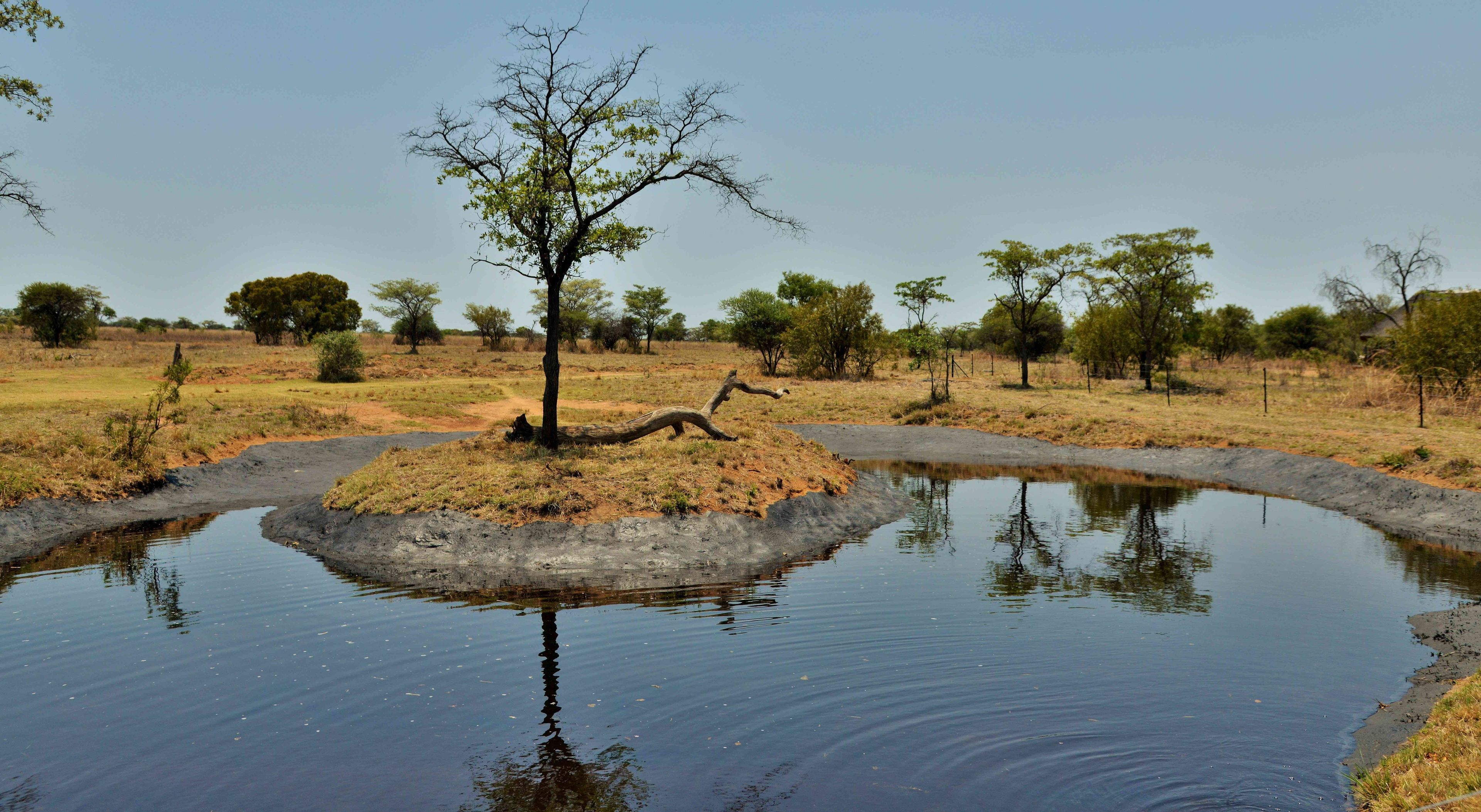 A natural landscape with a water body, a small island with a tree, and a dry grassy area.