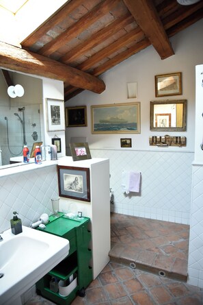 Deluxe Suite | Bathroom | Shower, rainfall showerhead, free toiletries, hair dryer - Cesare Magli e Figli Residenza d'Epoca (Molinella)