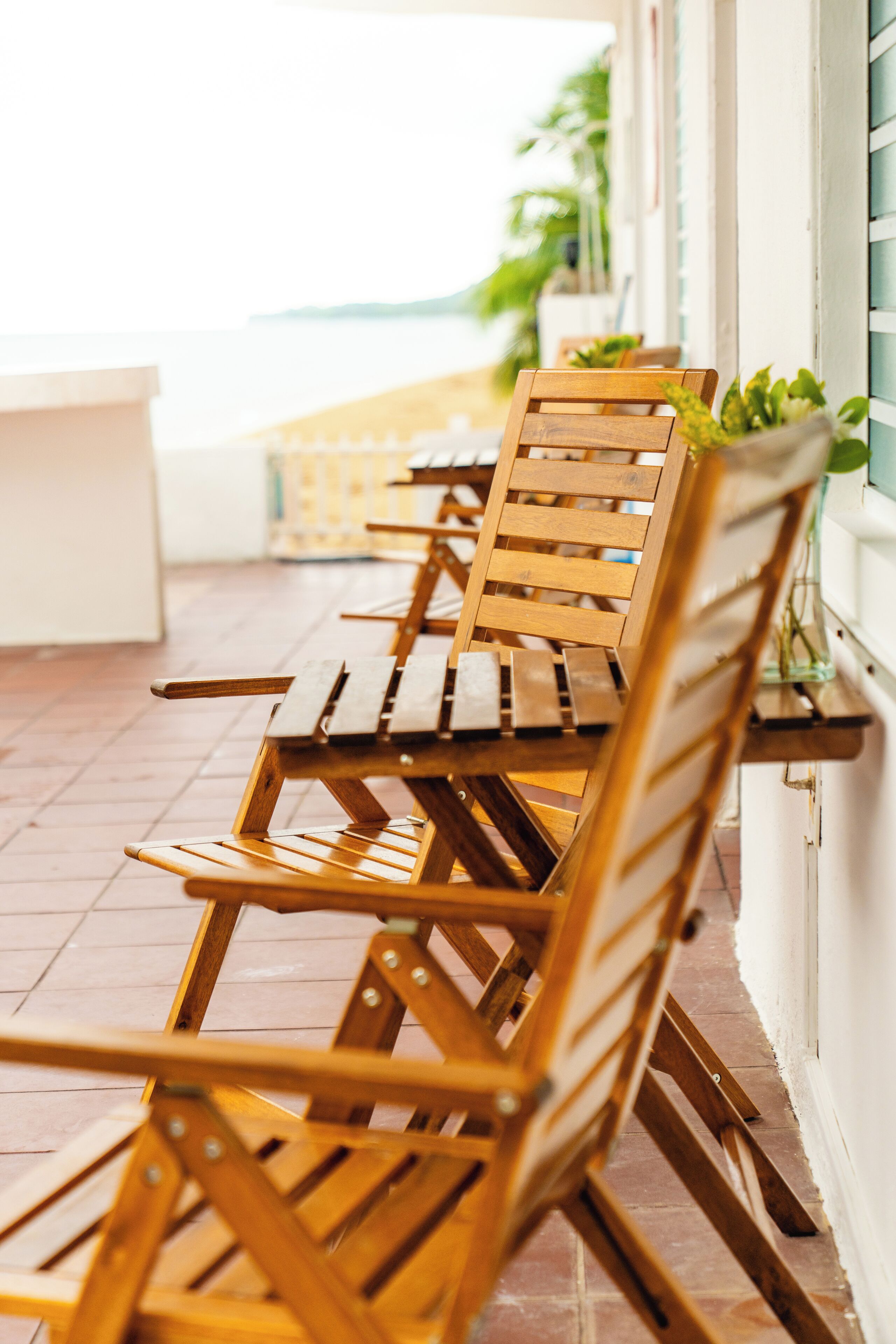 A row of wooden chairs with a potted plant on a tiled patio area.