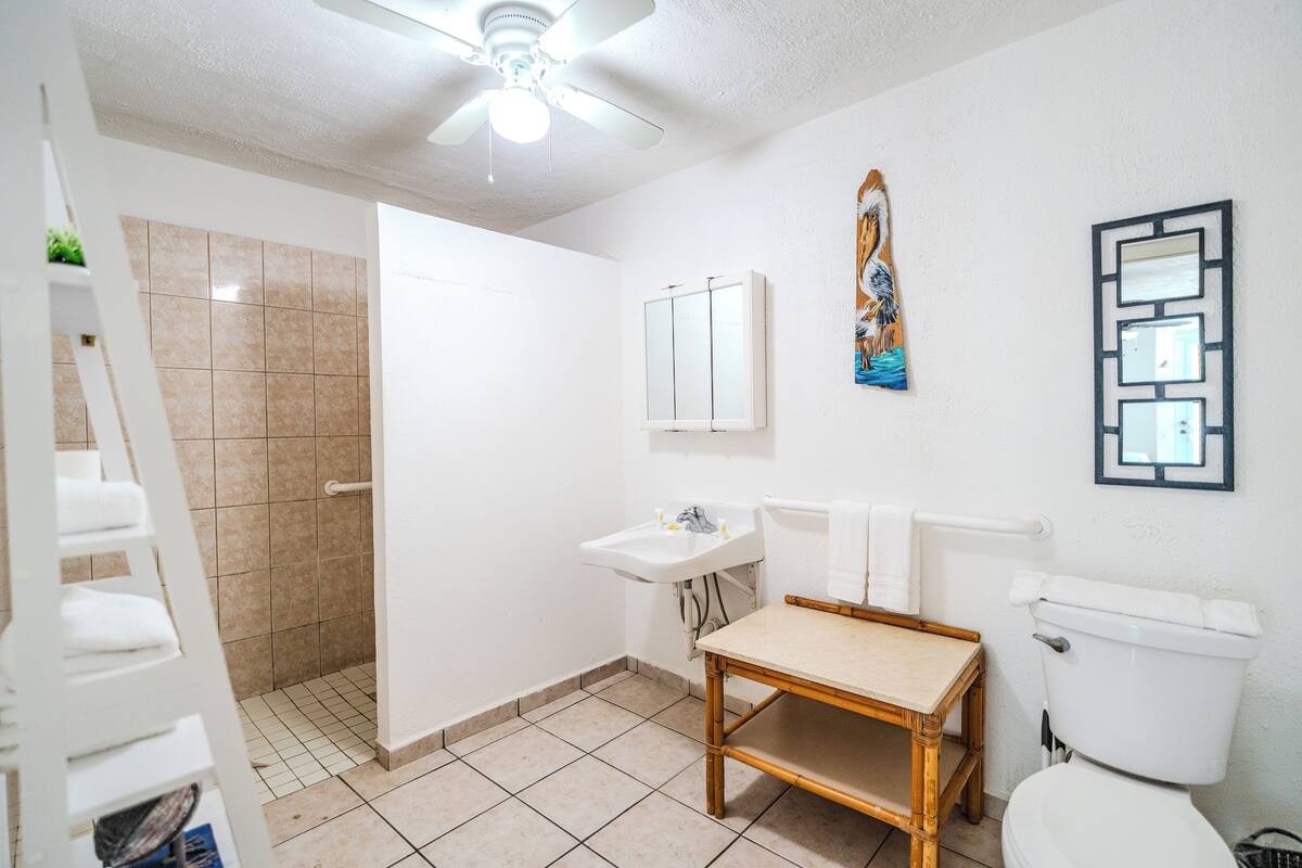 studio, 1 queen bed, accessible, non smoking | bathroom | shower, towels