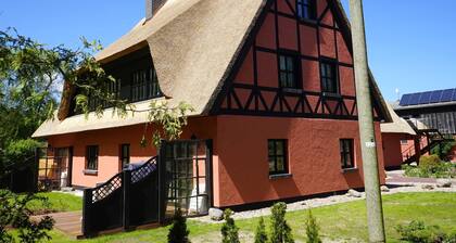 Suite 4 - Bela Horse Farm
