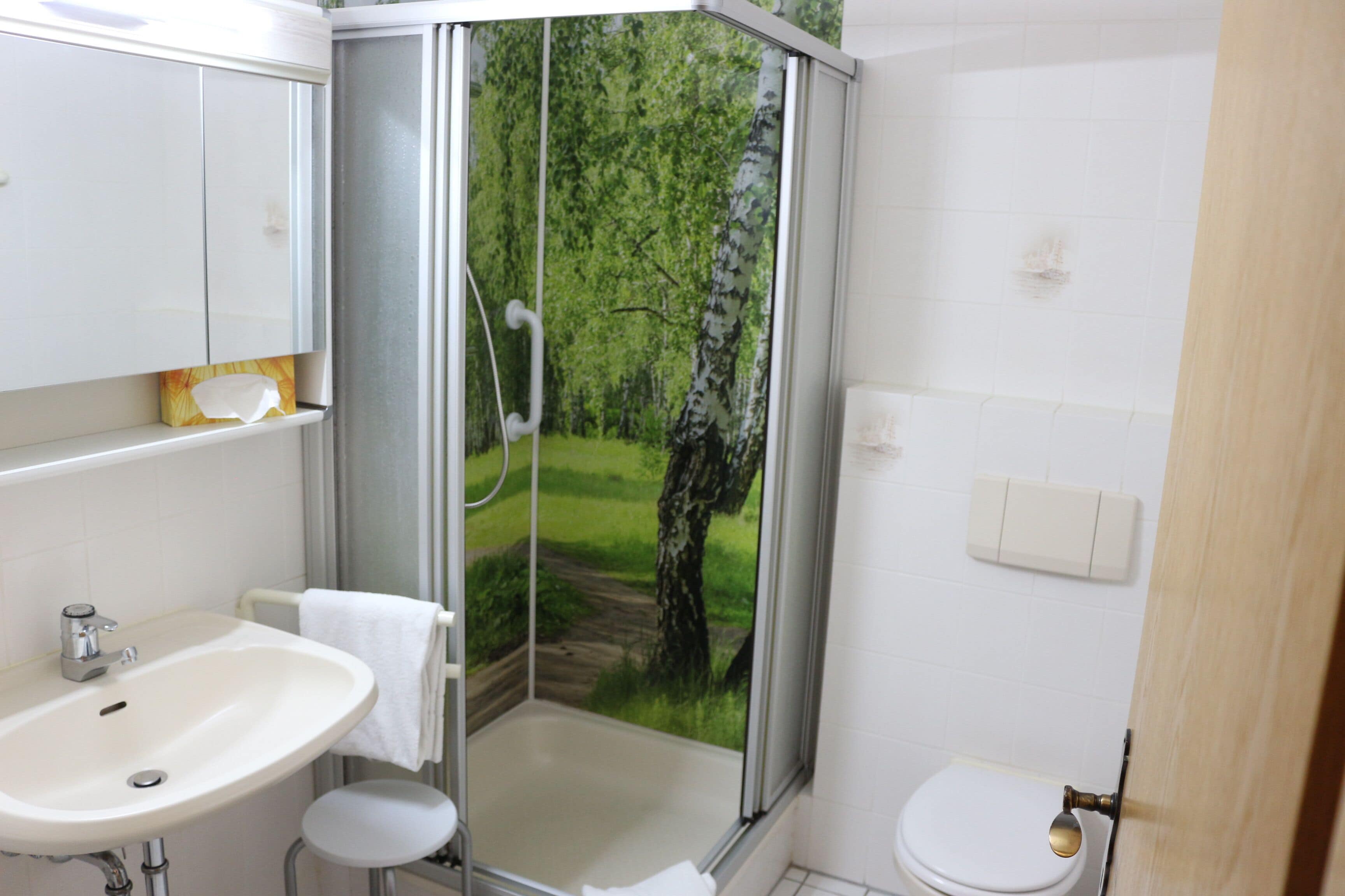 Une salle de bain avec une douche à parois de verre, un lavabo et des toilettes.