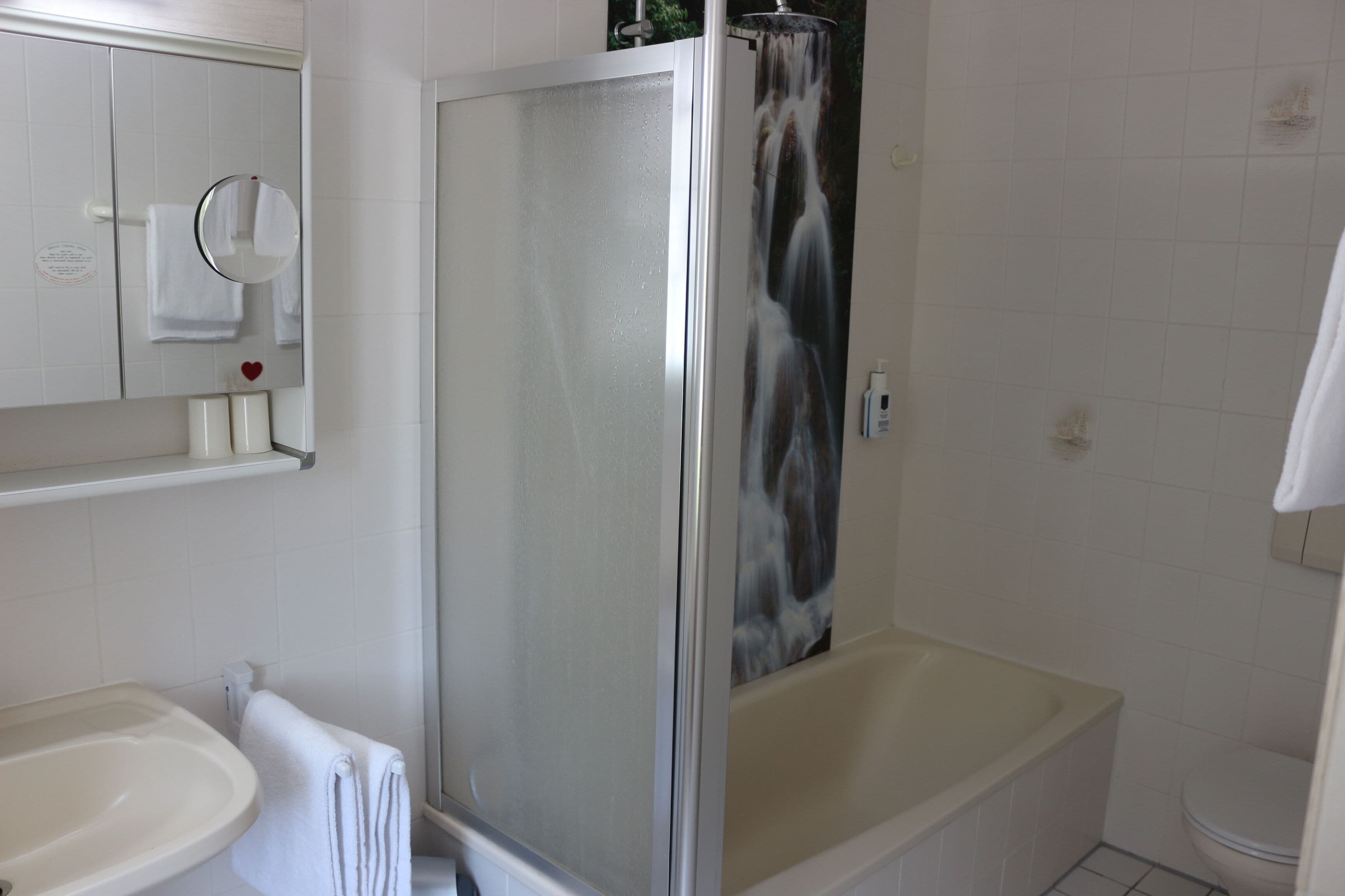 Een badkamer met een douche in een glazen cabine, een bad, een wastafel en een spiegel.